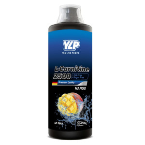 YLP, L-Carnitine, 1000 мл